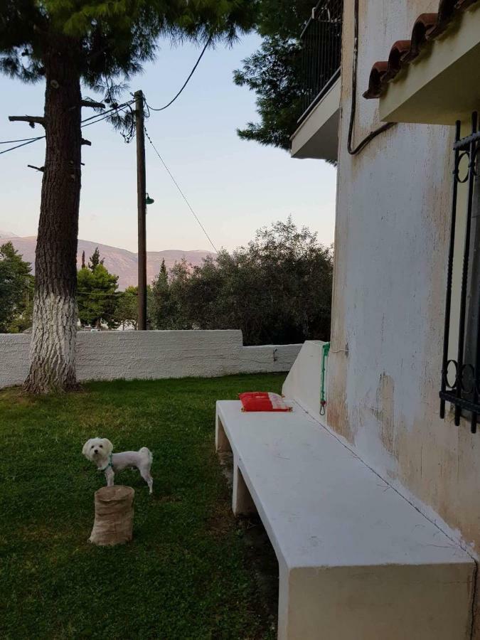 Villa Galaxídhion Exteriér fotografie